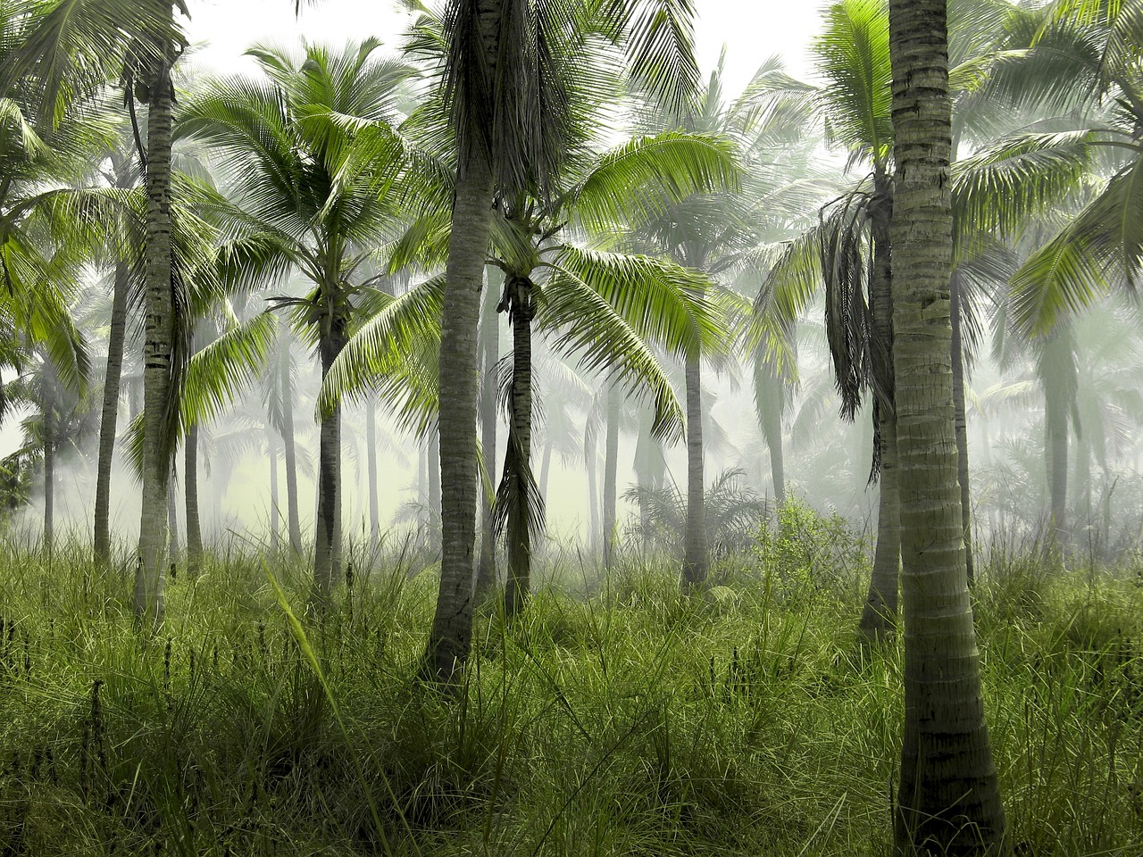 découvrez des îles paradisiaques, où le soleil brille toute l'année, les plages de sable blanc vous attendent et la nature luxuriante vous enchante. évadez-vous vers des destinations de rêve, idéales pour des vacances relaxantes ou des aventures inoubliables.