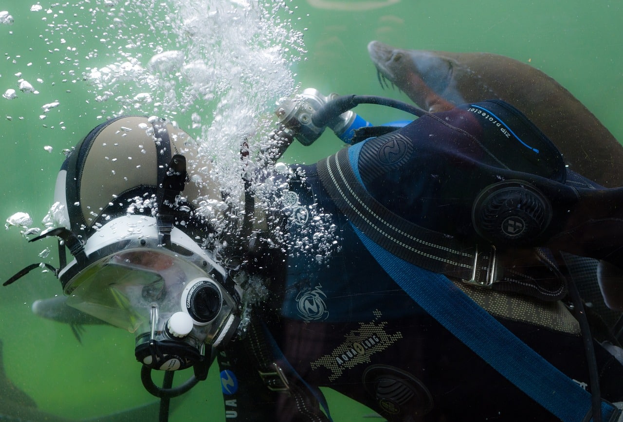 Les bienfaits du snorkeling pour la découverte des écosystèmes marins