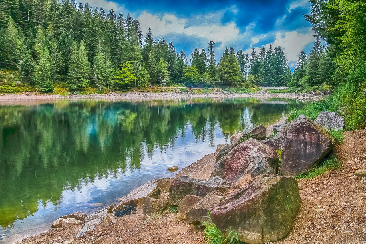 découvrez la richesse de la biodiversité, enjeu vital pour notre planète. explorez les différentes espèces, leur habitat naturel et l'importance de la conservation pour préserver l'équilibre écologique.