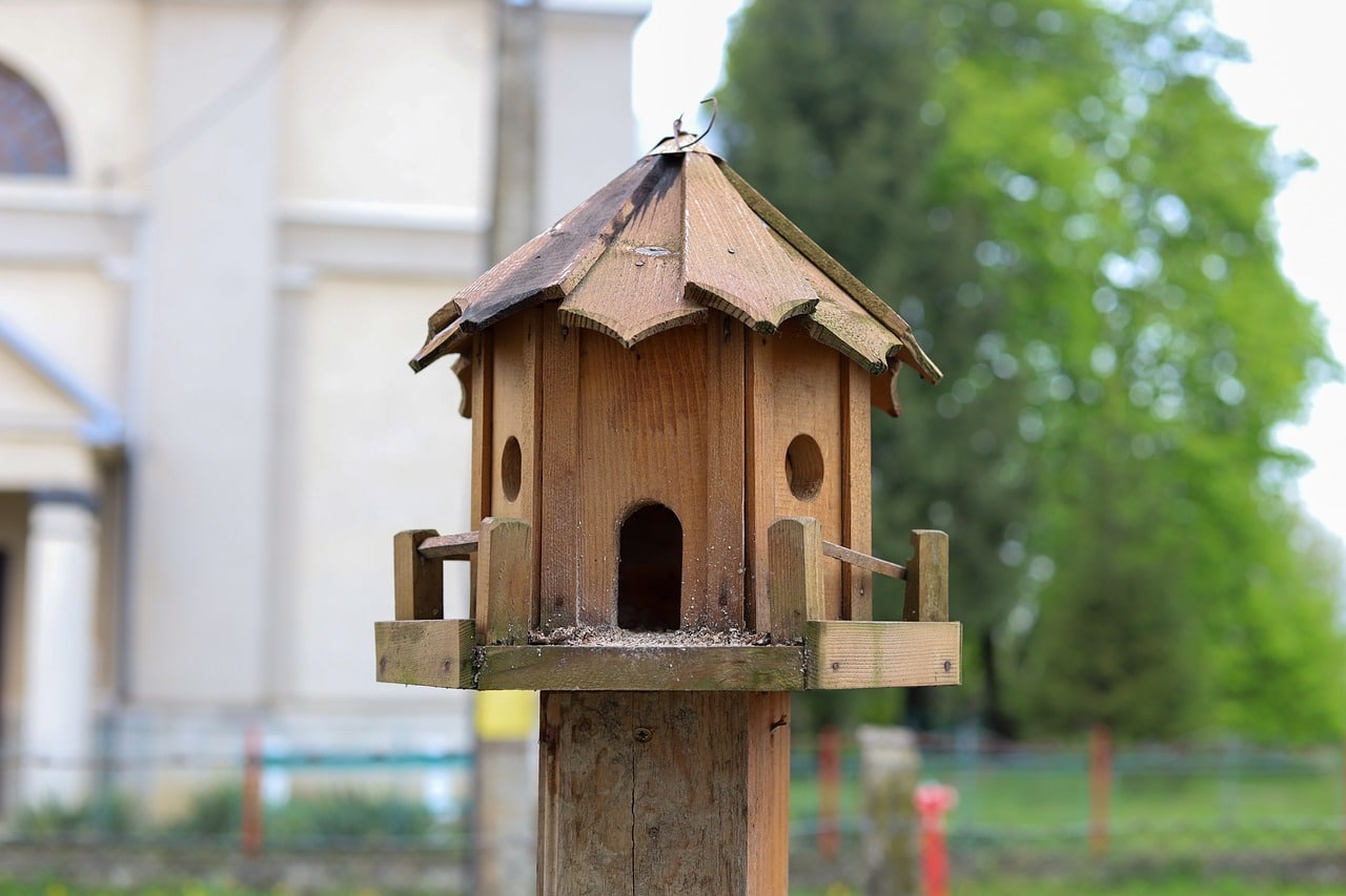 découvrez l'art du travail du bois avec nos tutoriels, astuces et projets inspirants. que vous soyez débutant ou expert, explorez des techniques variées pour créer des pièces uniques en bois.